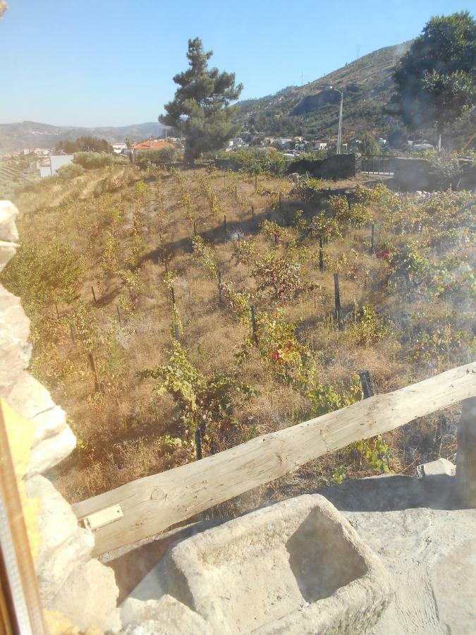 Villa Casa Da Vinha Em Tabuaco - Douro Exterior foto